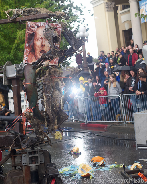 Dual Mules with the Coyotes